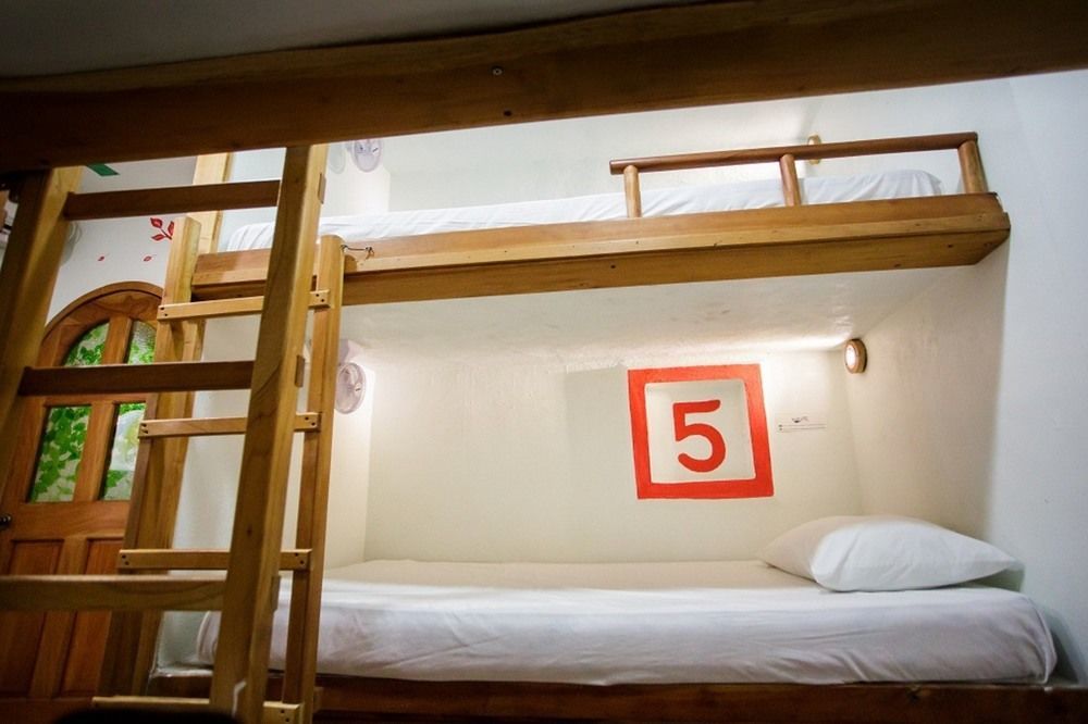 Hostel Natura Cancun Dış mekan fotoğraf