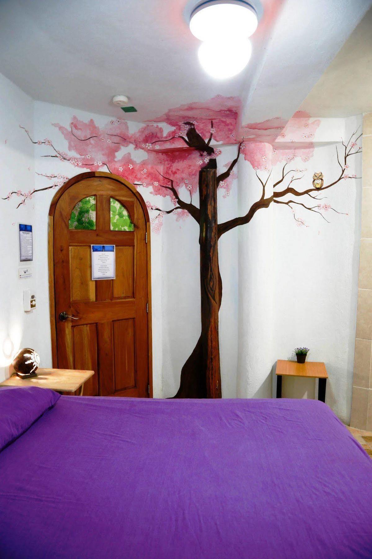 Hostel Natura Cancun Dış mekan fotoğraf