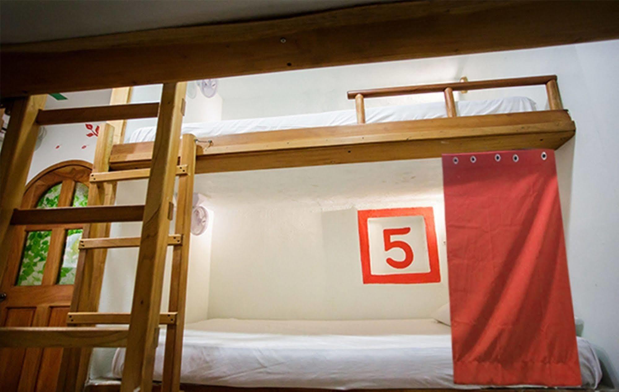 Hostel Natura Cancun Dış mekan fotoğraf